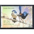 Australia 2023 Fairy Wrens - Lovely Fairy Wren ...
