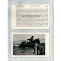 Mrs Carol Durand Horse RENO KIRK America Woffor...