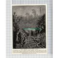 C5127) Lt Luxford 1st Nigeria Reg Schneider Cha...