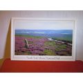 KILDALE MOOR, NORTH YORK MOORS NATIONAL PARK un...