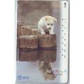 Puppy Looking At Own Reflection Japan NTT Phone...