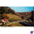 GB postcard - Stepping Stones, Darnholme, N. Yo...