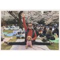 High Five Leg Split Dog In Pink Tracksuit Londo...