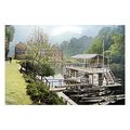 ptc5333 - Yorks - Marigold House Boat Cafe, c19...