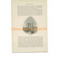 York Place, London, Book Illustration (Print), ...