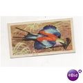 1961 Brooke Bond Tea card TROPICAL BIRDS No.15 ...