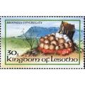 Lesotho QEII 1983 Fungi 30s Broomeia Congregata...