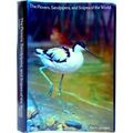 The Plovers, Sandpipers, And Snipes Of The World