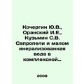 Yu.V. Kochergin, I.E. Oransky, S.V. Kuzmin Sapr...
