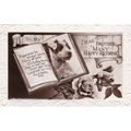 Dog Birthday Greetings Postcard unused VGC