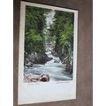 Early Postcard - Fairy Glen, Bettws-Y-Coed - Sn...