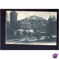 Switzerland LUZERN Ox Cart Postcard by Photoglo...
