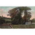 Misch & Co Postcard on Woolwich Common