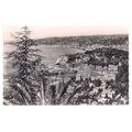 THE PORT, NICE, FRANCE. unused vintage postcard RP