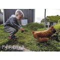 Posta: Tourist Postcard: Boy Feeding a Hen