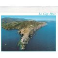 Le Cap Bear France Postcard unused VGC