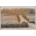 Garden and Maze, Hatfield House, Hertfordshire,...