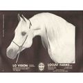 locust farms inc 1972 lo vision rafden phandria...