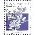 WESTERN SAHARA, FLOWER, Crassula argentia, viol...