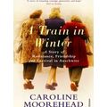 Train In Winter