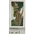 Neilson's Interesting Animals card No. 5 Tree-boa