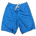 Hollister Mens Blue Board Skater Drawstring Sho...