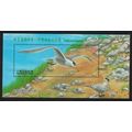 Taiwan Chinese Crested Tern 'Thalasseus bernste...