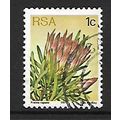SOUTH AFRICA 1977 SUCCULENTS 1c PROTEA REPENS S...