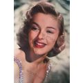bc0036 - Film Actress - Jill Adams - print 6"x4"