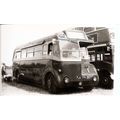 Black & White Photograph of London Transport - ...