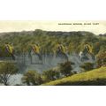 Sharpham Wood, River Dart, Cornwall, 8012X Vale...