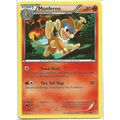 Pokemon Black & White Plasma Storm - #16/135 - ...