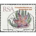 SOUTH AFRICA, FLOWER, Stapelia grandiflora, whi...
