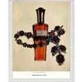 (6143) ADVERT - Madame Rochas - 1974 Magazine C...