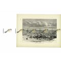 Horses Crossing The Volga River, Russia, Book I...