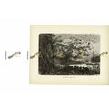Lake Scenery, Central Africa, Book Illustration...