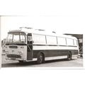 Black & White Photograph of A. Timpson & Sons L...