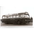 Black & White Photograph of Western Welsh Omnib...