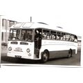 Black & White Photograph of Birch Brothers Ltd....