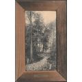 Autumn, Meadville, Pennsylvania, 1907 - Rotogra...