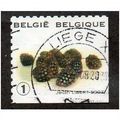 BEL 2007 (52c)(S/A) 'FRUIT- BLACKBERRIES' FINE ...