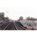 Railway Photo BOW BRICKHILL HALT Station 1964 B...