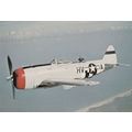 Republic P-47D Thunderbolt USA American WW2 Mil...