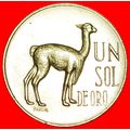 VICUGNA: PERU ★ SOL DE ORO 1966! LOW START ★ NO...