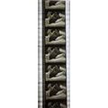 NOTORIOUS. Pk MTP - A025y. 1 STRIP OF 5 - 35MM ...