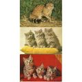 Animals CATS 6 Postcards by J. Salmon