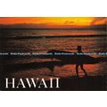 D026377 Hawaii. Paul W. Lovinger. Hawaiian Post...
