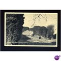 Berkshire READING Abbey Ruins Postcard by TVAP ...