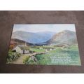 1950s Postcard - Irish Mountain Road / Eire - A...
