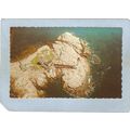NH White Island Lighthouse Postcard White Islan...